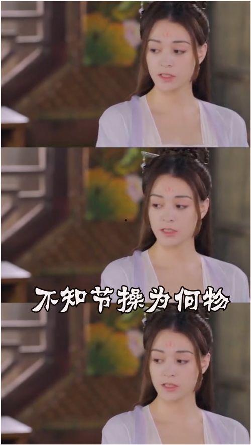 陛下这届宫斗太卷了