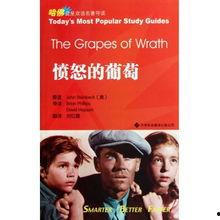 愤怒的葡萄,揭示美国大萧条下的社会动荡与抗争