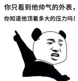 我们这一摊,探索我国特色文化传承与创新之路